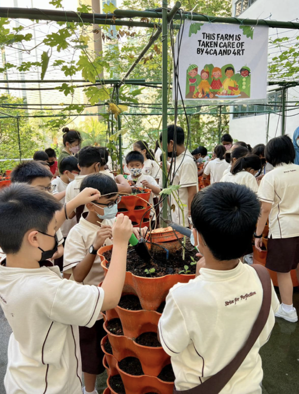 Students in uniforms tend to plants in orange pots at a school farm maintained by classes 4CA and 4RT.